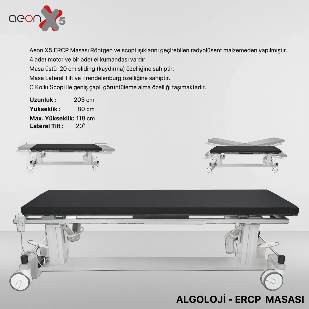                                               Algoloji Masası